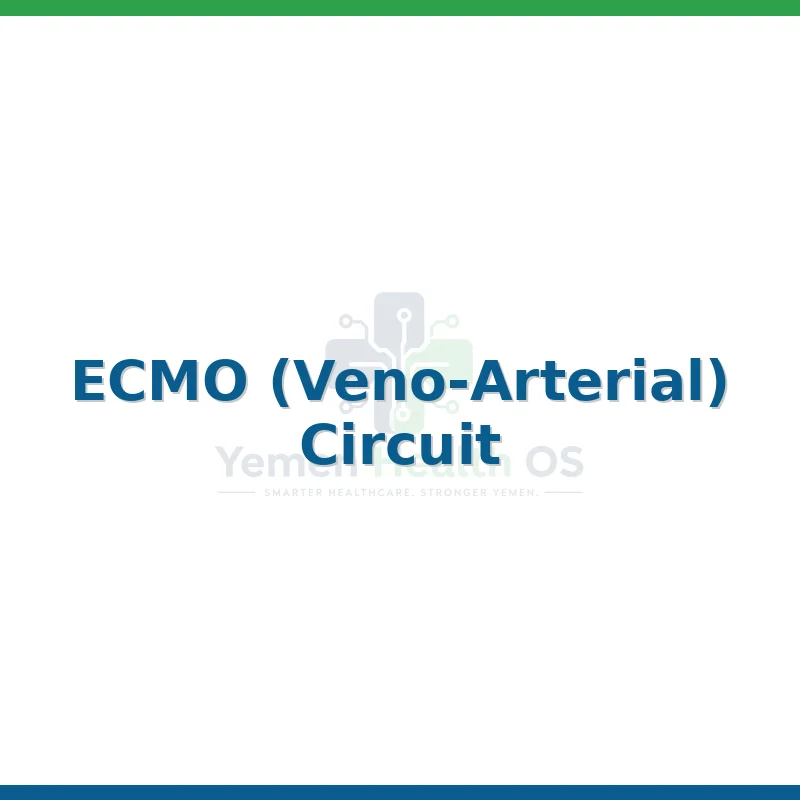 ECMO (Veno-Arterial) Circuit