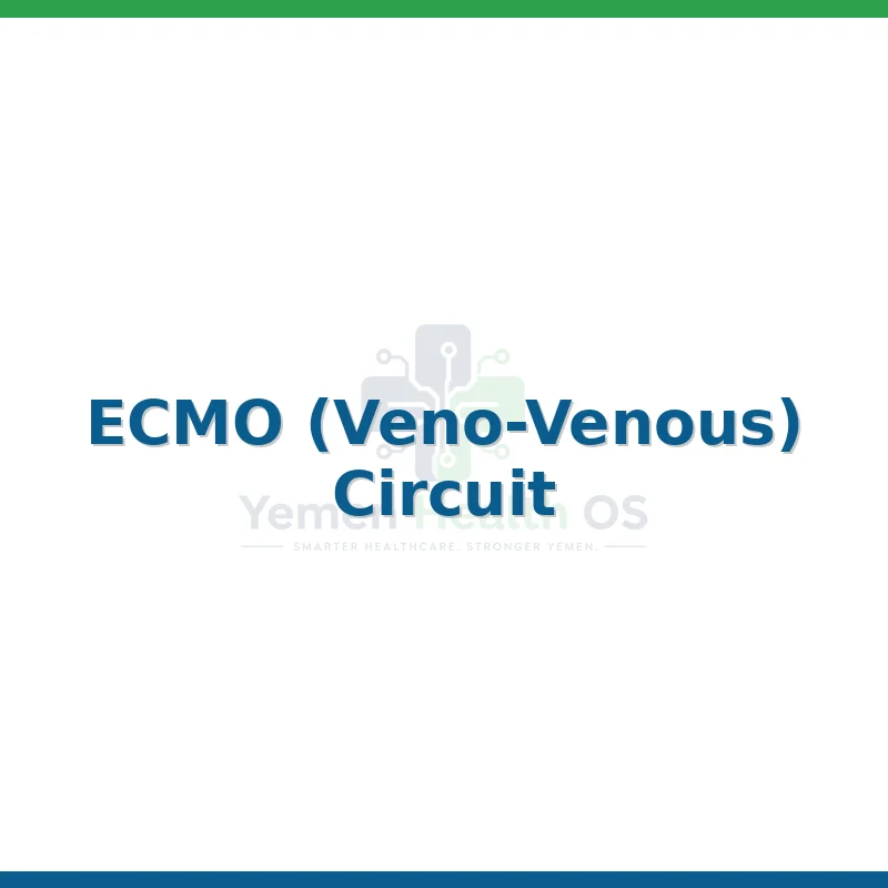 ECMO (Veno-Venous) Circuit