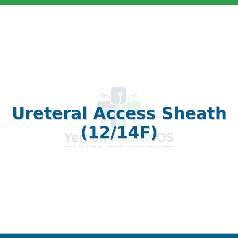 Ureteral Access Sheath (12/14F)