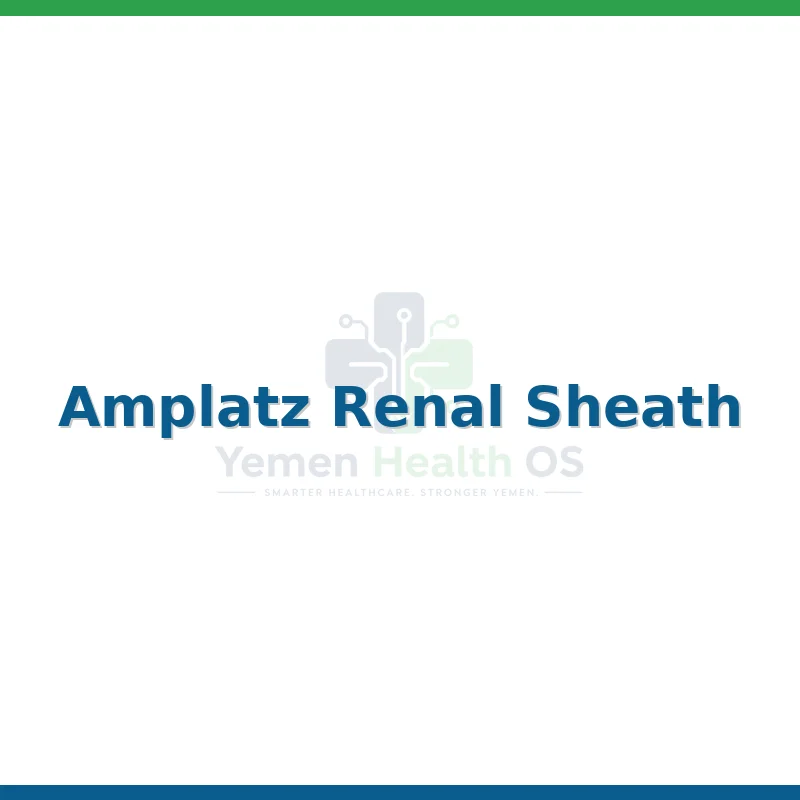 Amplatz Renal Sheath