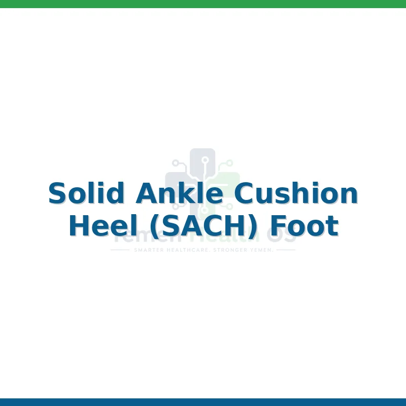 Solid Ankle Cushion Heel (SACH) Foot