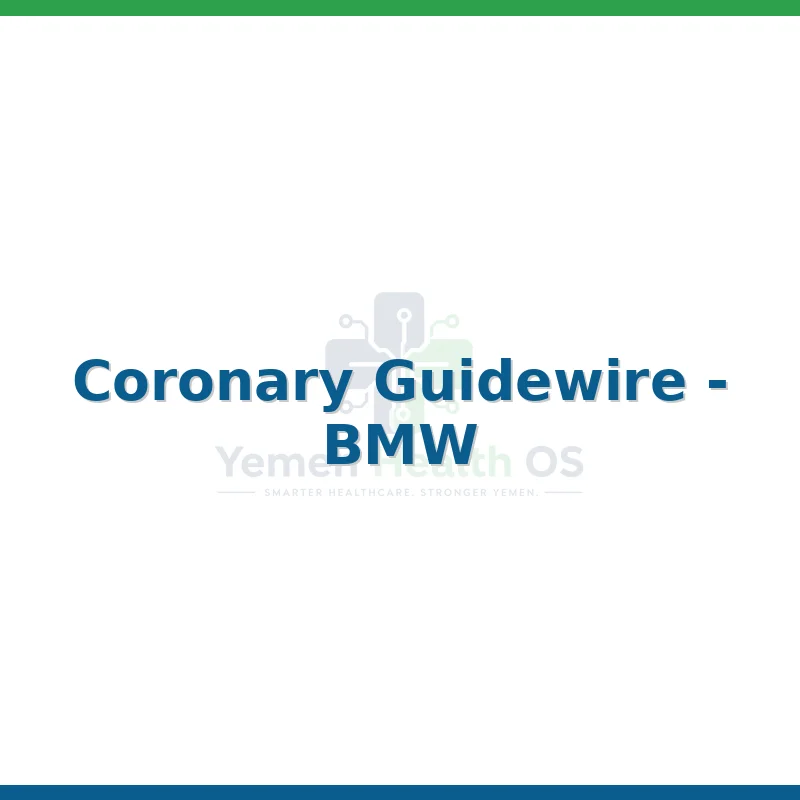 Coronary Guidewire - BMW