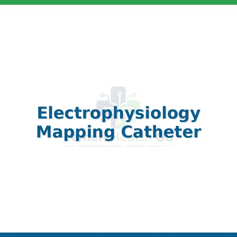 Electrophysiology Mapping Catheter
