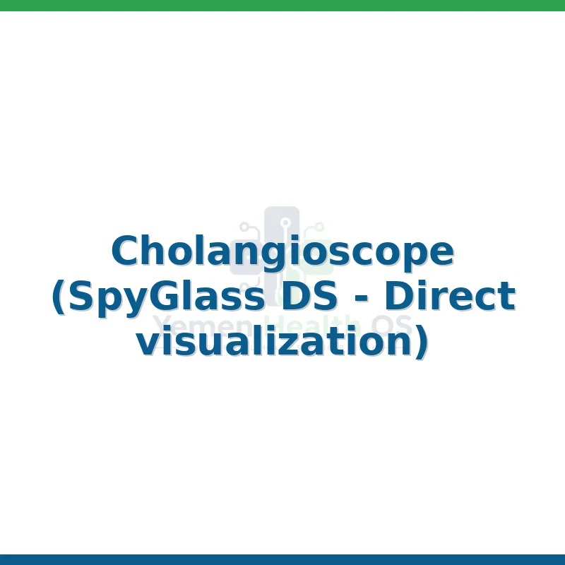Cholangioscope (SpyGlass DS - Direct visualization)