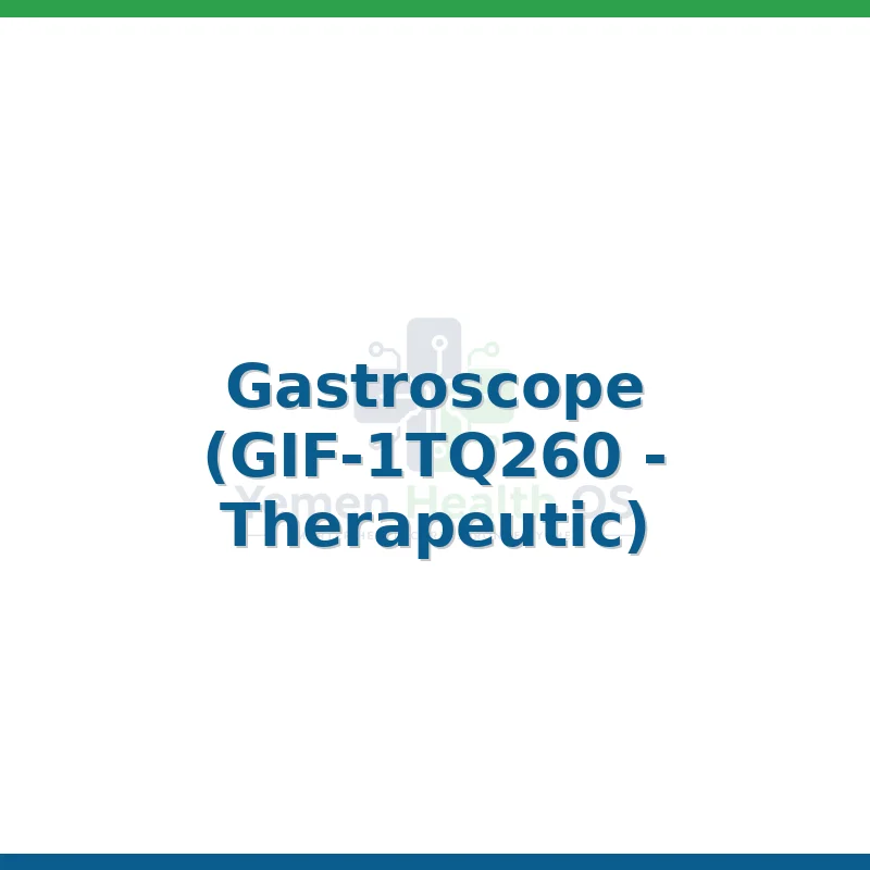Gastroscope (GIF-1TQ260 - Therapeutic)