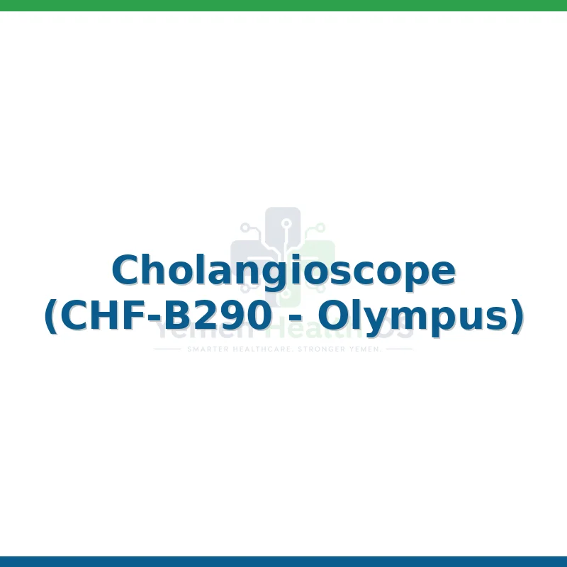 Cholangioscope (CHF-B290 - Olympus)