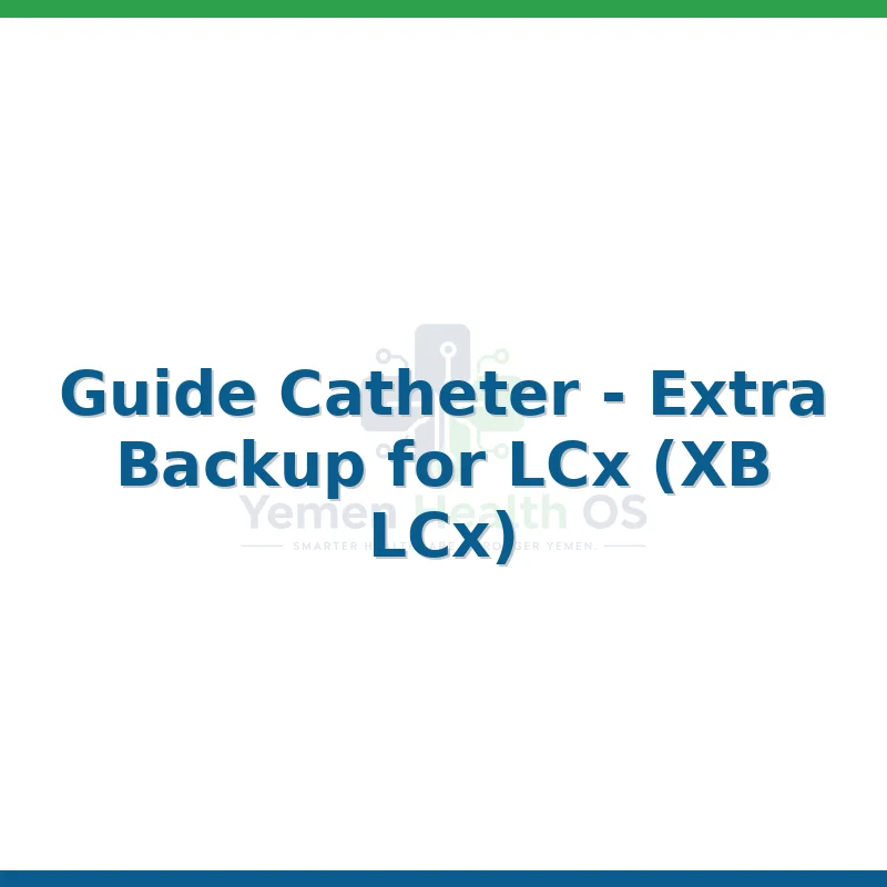 Guide Catheter - Extra Backup for LCx (XB LCx)