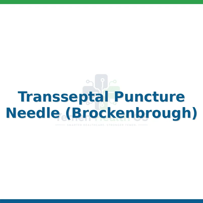 Transseptal Puncture Needle (Brockenbrough)