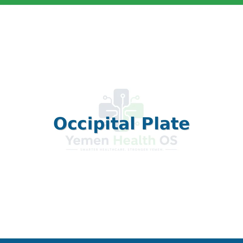 Occipital Plate