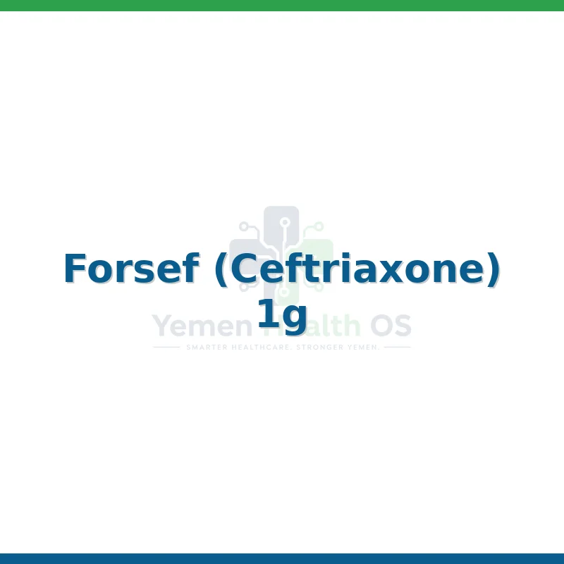 Forsef