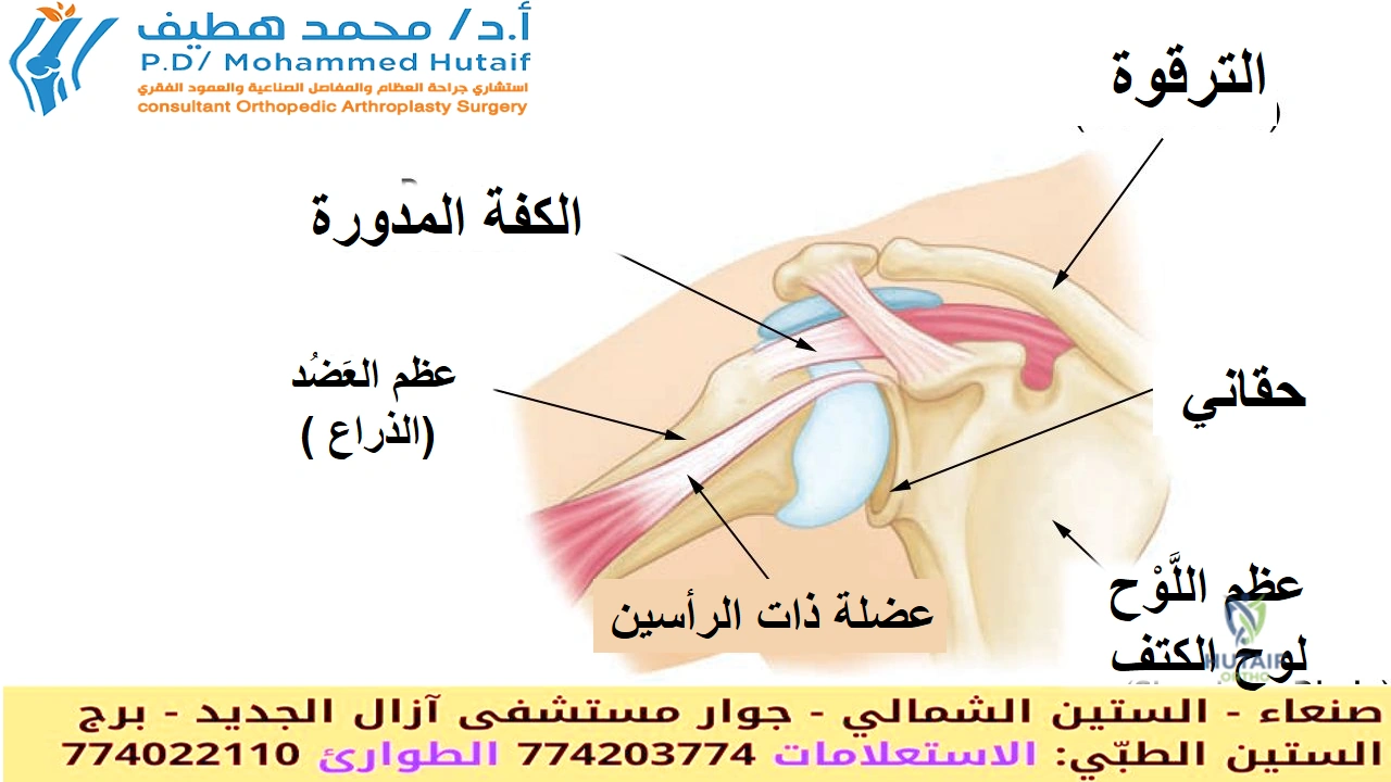 ألم الركبة: الأسباب، طرق العلاج، وكيفية تحسين استقرار المفصل